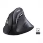 UGREEN MU008 belaidė vertikali optinė pelė, 2.4G + Bluetooth 5.0, juoda