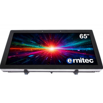 Ernitec 65 inch 24/7 4K UHD monitorius (0070-24165-HB3000-L)