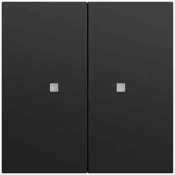 GIRA 517374 Mygtukas su svirtimi 2 kanalų OneKNX System 70 juodas (517374)
