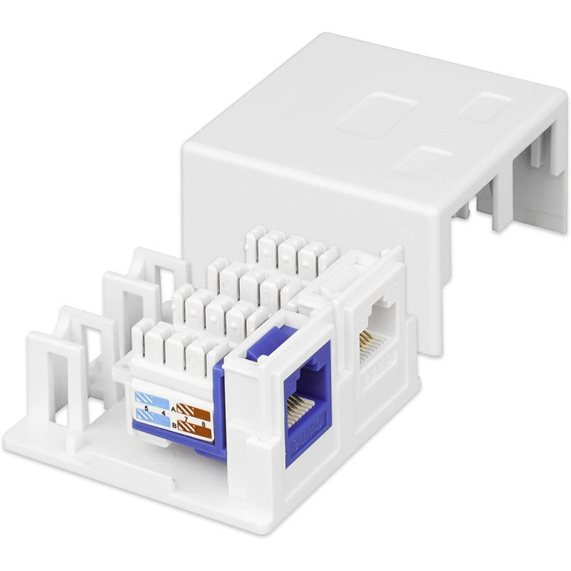 Techly 366310 paviršinio montavimo dėžutė 2 Keystone moduliams RJ45 arba RJ11/12