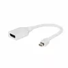 Gembird Mini DisplayPort į DisplayPort adapteris, baltas