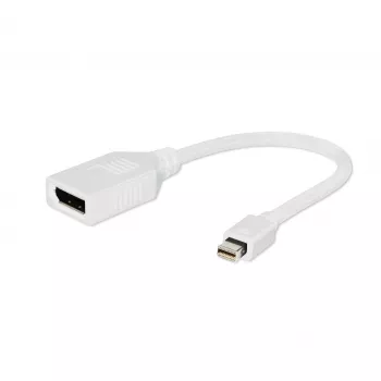 Gembird Mini DisplayPort į DisplayPort adapteris, baltas