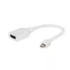 Gembird Mini DisplayPort į DisplayPort adapteris, baltas