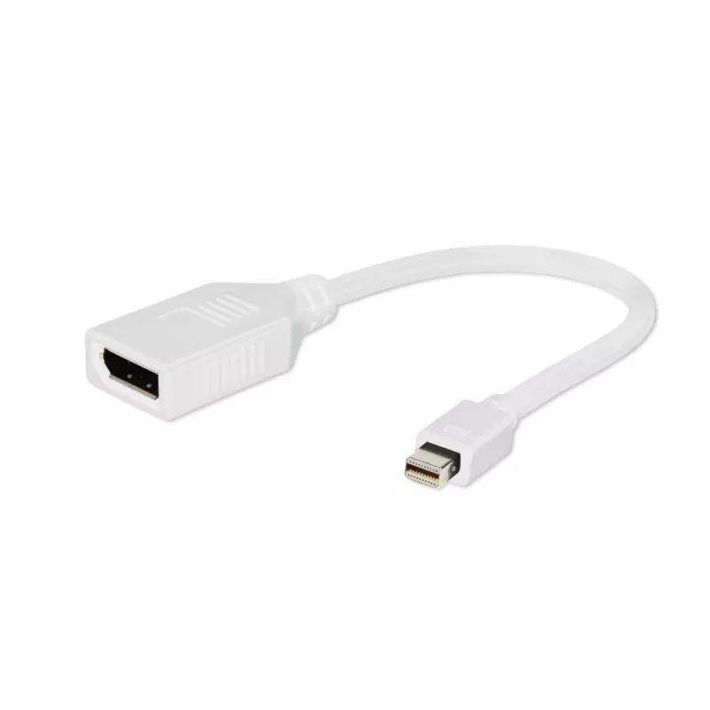 Gembird Mini DisplayPort į DisplayPort adapteris, baltas