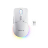Lenovo Legion M220 RGB belaidė žaidimų pelė, 2.4 GHz / Bluetooth / laidinė, Glacier White (GY51V60437)