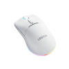 Lenovo Legion M220 RGB belaidė žaidimų pelė, 2.4 GHz / Bluetooth / laidinė, Glacier White (GY51V60437)