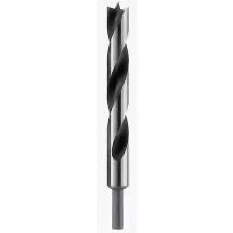 Bosch medienos sukimosi grąžtas 18 mm 2608597193, bendras ilgis 250 mm, cilindrinis kotas