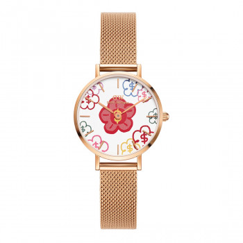 Daniel Wellington DW00100722 moteriškas laikrodis, 36 mm