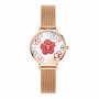 Daniel Wellington DW00100722 moteriškas laikrodis, 36 mm