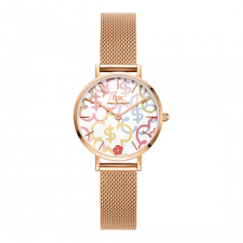 Daniel Wellington DW00100723 moteriškas laikrodis, 28 mm
