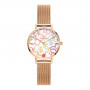 Daniel Wellington DW00100723 moteriškas laikrodis, 28 mm