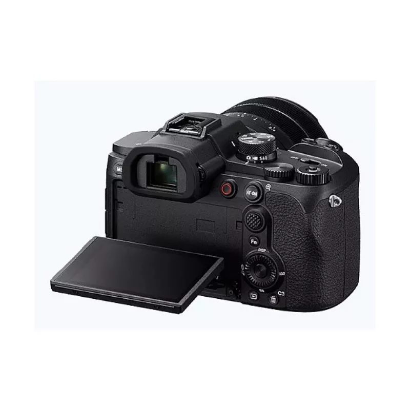 Sony skaitmeninis fotoaparatas DSC-RX10 V