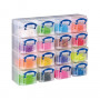 Really Useful Box laikymo dėžė su 16x 0,3 l dėžutėmis, 37,5 x 12,5 x 31,0 cm, permatoma