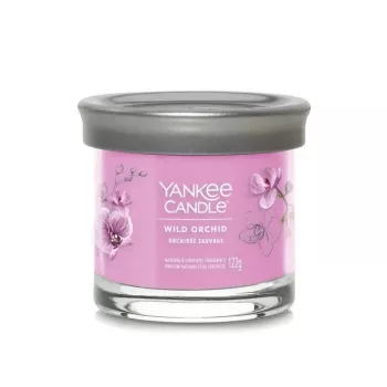 Yankee žvakė stiklinėje su 1 dagtimi, Wild Orchid