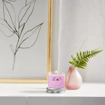 Yankee žvakė stiklinėje su 1 dagtimi, Wild Orchid