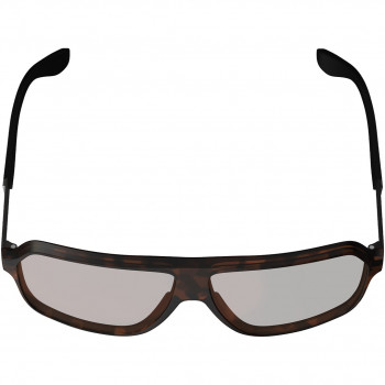 Leatt TheViz Andes Polarized dviračių akiniai, rudi