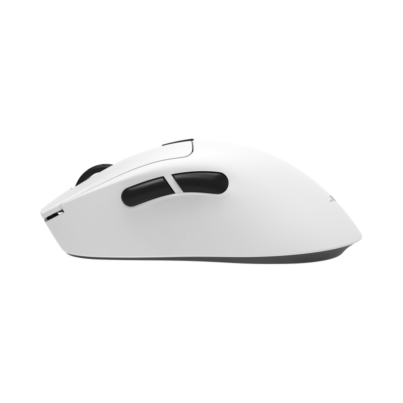 White Shark TOR WGM-5024 pelė žaidėjams, balta