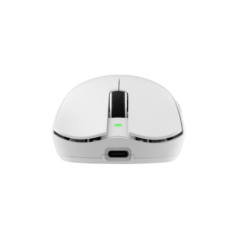 White Shark AGAMEMNON WGM-9012 pelė žaidėjams, balta
