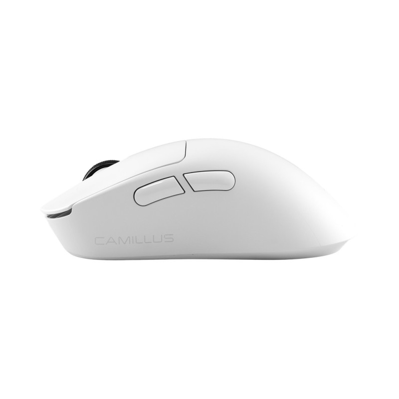 White Shark CAMILLUS WGM-9013 pelė žaidėjams, balta