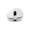 White Shark CAMILLUS WGM-9013 pelė žaidėjams, balta