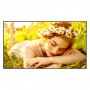 LG 55UL5Q-M 55 colių LCD monitorius, 3840 x 2160, 4K Ultra HD, 16:9
