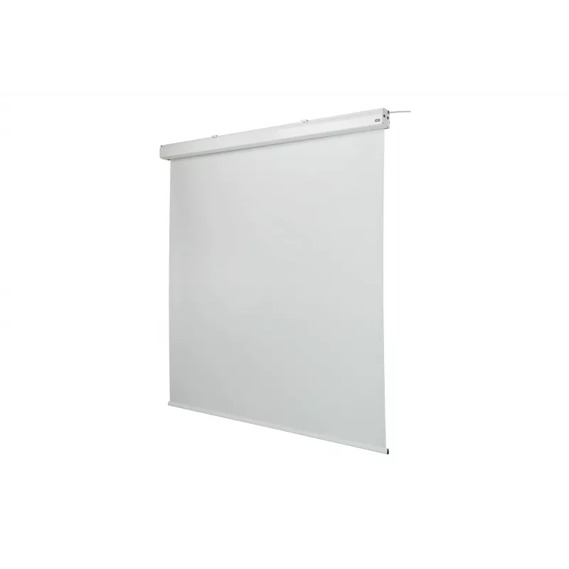 celexon Expert elektrinis projektoriaus ekranas, 130" (330 cm), 230 V