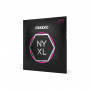 Daddario D'Addario NYXL0942 gitaros stygos elektrinei gitarai, 09–42