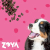 ZOYA ColdPRO Beef sausas pašaras šunims, 1 kg