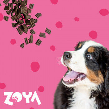 ZOYA ColdPRO Beef sausas pašaras šunims, 1 kg