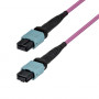 StarTech.com OM4MTP12BOFNP10M MTP/MPO-12 daugiamodis šviesolaidinis komutacinis kabelis (10 m)