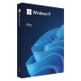 Microsoft Windows 11 Pro BOX, 64-bit, lenkų kalba, USB atmintinė (HAV-00209)