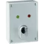 ABUS SE1010 raktų jungiklis - 24V DC, 2 perjungimo kontaktai, IP54, sidabriškai pilkas