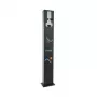 AC Single Post for STAG EV Charger su Type 2 lizdu