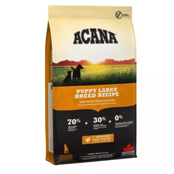 ACANA Dog Puppy Large Breed Recipe sausas maistas 11,4 kg