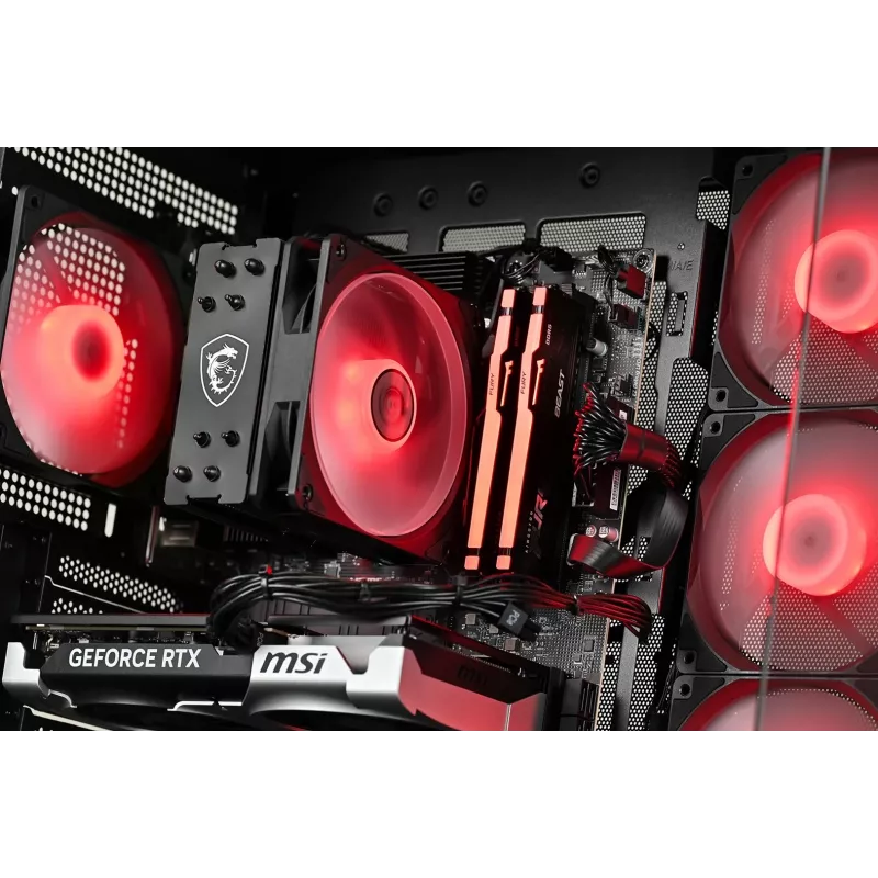 Actina stalinis kompiuteris AMD Ryzen 5 5600 16GB DDR4 500GB SSD NVIDIA GeForce RTX 5060 Windows 11 Home Midi Tower Black