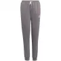 adidas Entrada 22 sportinės kelnės pilkos H57519 Jaunimo 164cm