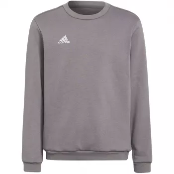 adidas Entrada 22 megztinis su gobtuvu, pilkas, jaunimo 140 cm | ITwork.lt