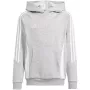 adidas Tiro 24 gobtuvinis megztinis Medium Grey Heather, vaikams, 140 cm