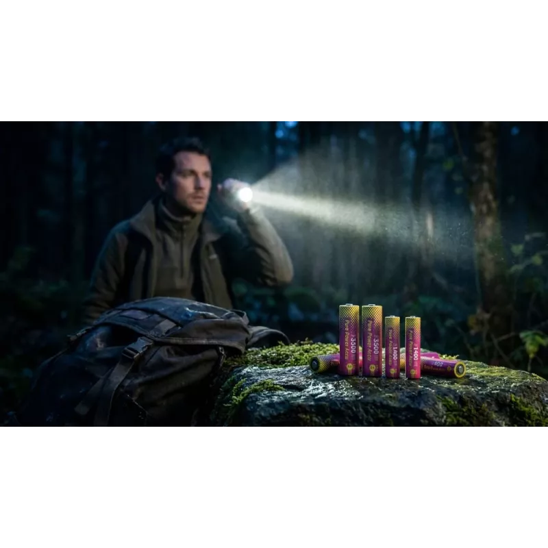 ANSMANN PurePower Set AA baterijų įkroviklis su 4x AA 2100mAh NiMH baterijomis