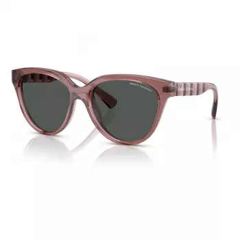 Armani Exchange Moteriški Akiniai Nuo Saulės AX4148SU83598 Havana Rudi Stačiakampiai 56mm