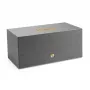 Audio Pro C20 išmanusis garsiakalbis, pilka - 120W, Wi-Fi, AirPlay 2, Chromecast, Bluetooth 5.0