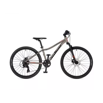 Author A-Matrix 24D priekinis ratas 24 inch Titanium Matte/Black Matte