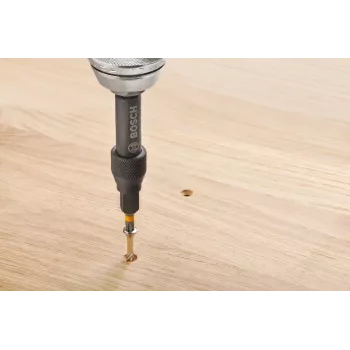 Bosch 2607002786 20 dalių atsuktuvų antgalių rinkinys su magnetiniu universaliu laikikliu, 25 mm S2 plieno antgaliai Phillips, Pozidriv, plokštiems, Torx, Hex