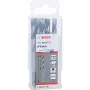 Bosch PowerTools HSS PointTeQ Hex Twist Grąžtas, 6 mm, 10 vnt., Darbinis Ilgis 57 mm
