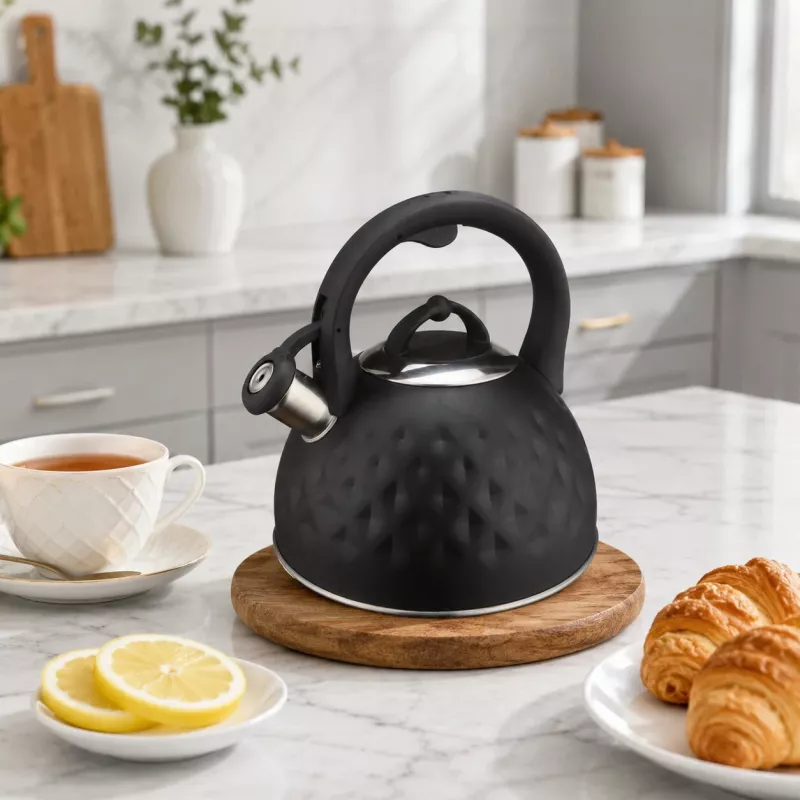 Brock MWK 003 BK La Cuisinette elektrinis virdulys 2,5 L 2200 W juodas/plieninis