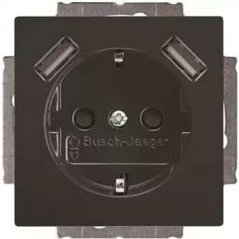 BUSCH-JAEGER BJ 20 EUCB2USB-81 SCHUKO kištukinis lizdas su 2 USB prievadais, Alpinės baltos spalvos