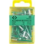 C.K Tools T3819A 508 aklinos kniedės 4,8 x 19 mm aliuminis/plienas pusapvalė galvutė (50 vnt.)
