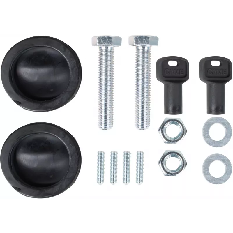CAME BXV 10 PLUS TOP komplektas stumdomiems vartams iki 1000 kg (8K01MS-043)