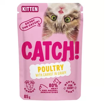 CATCH Kitten Poultry and Carrot in Gravy - šlapias kačiukų maistas - 85g