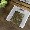 Cecotec svarstyklės vonios Surface Precision Healthy maksimalus svoris 180 kg pilka/permatoma
